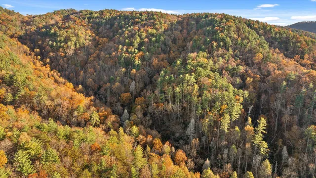 $325,000 | 180 Cohutta Forest Road, Ellijay, GA 30540