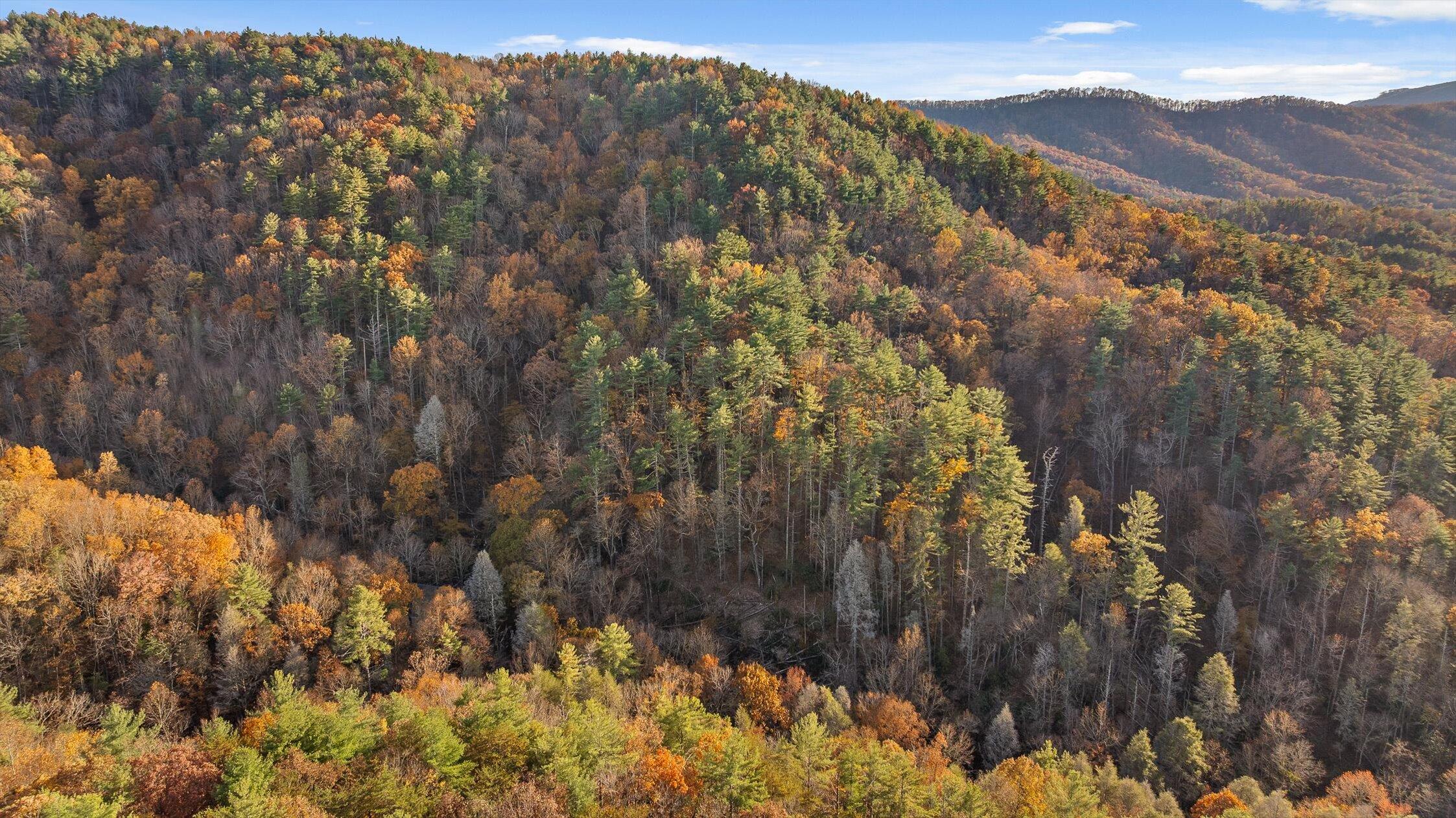 180 Cohutta Forest Road Ellijay, GA 30540 - Photo 43 of 51 43-Cohutta Forest-43