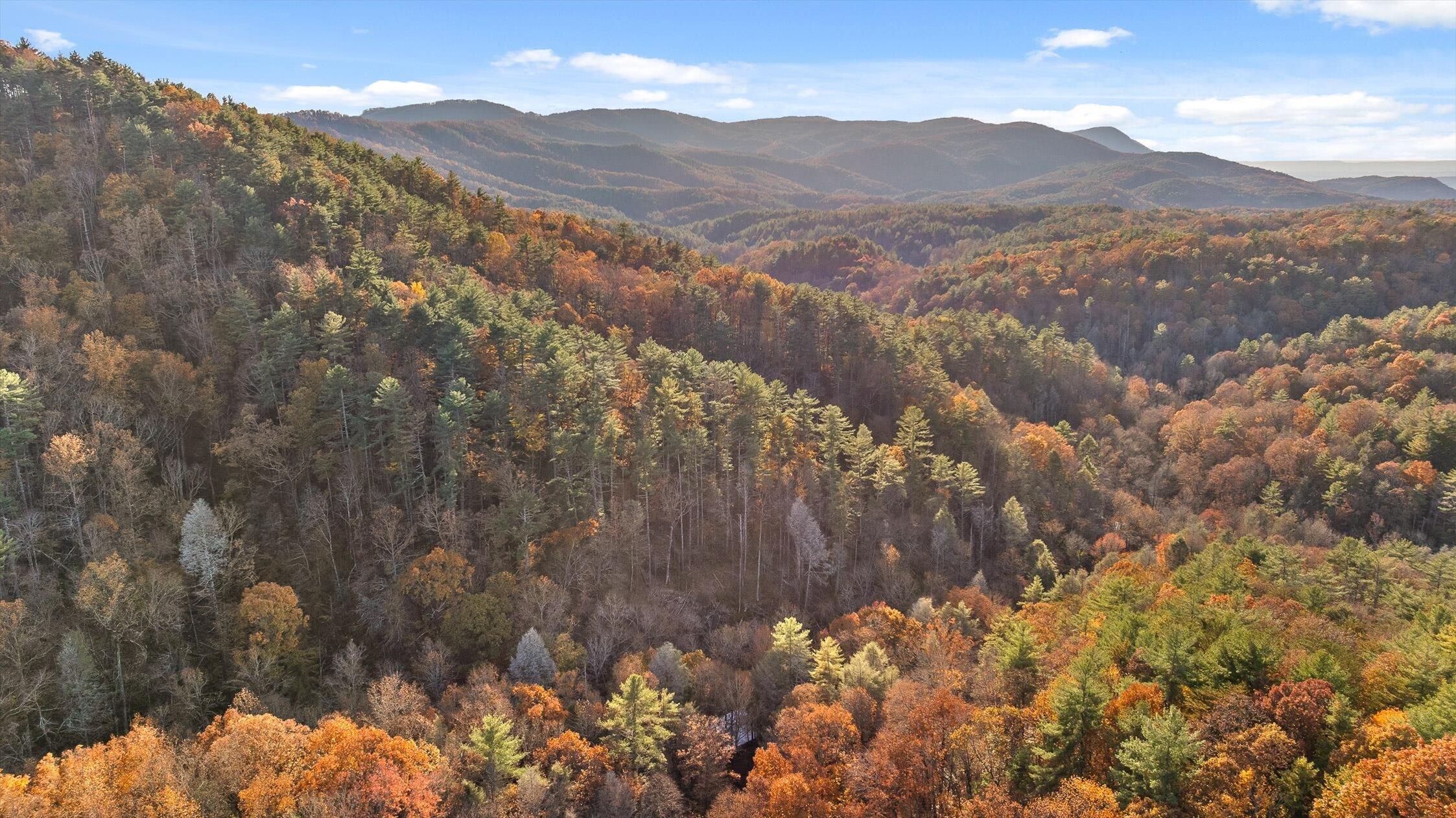 180 Cohutta Forest Road Ellijay, GA 30540 - Photo 44 of 51 44-Cohutta Forest-44