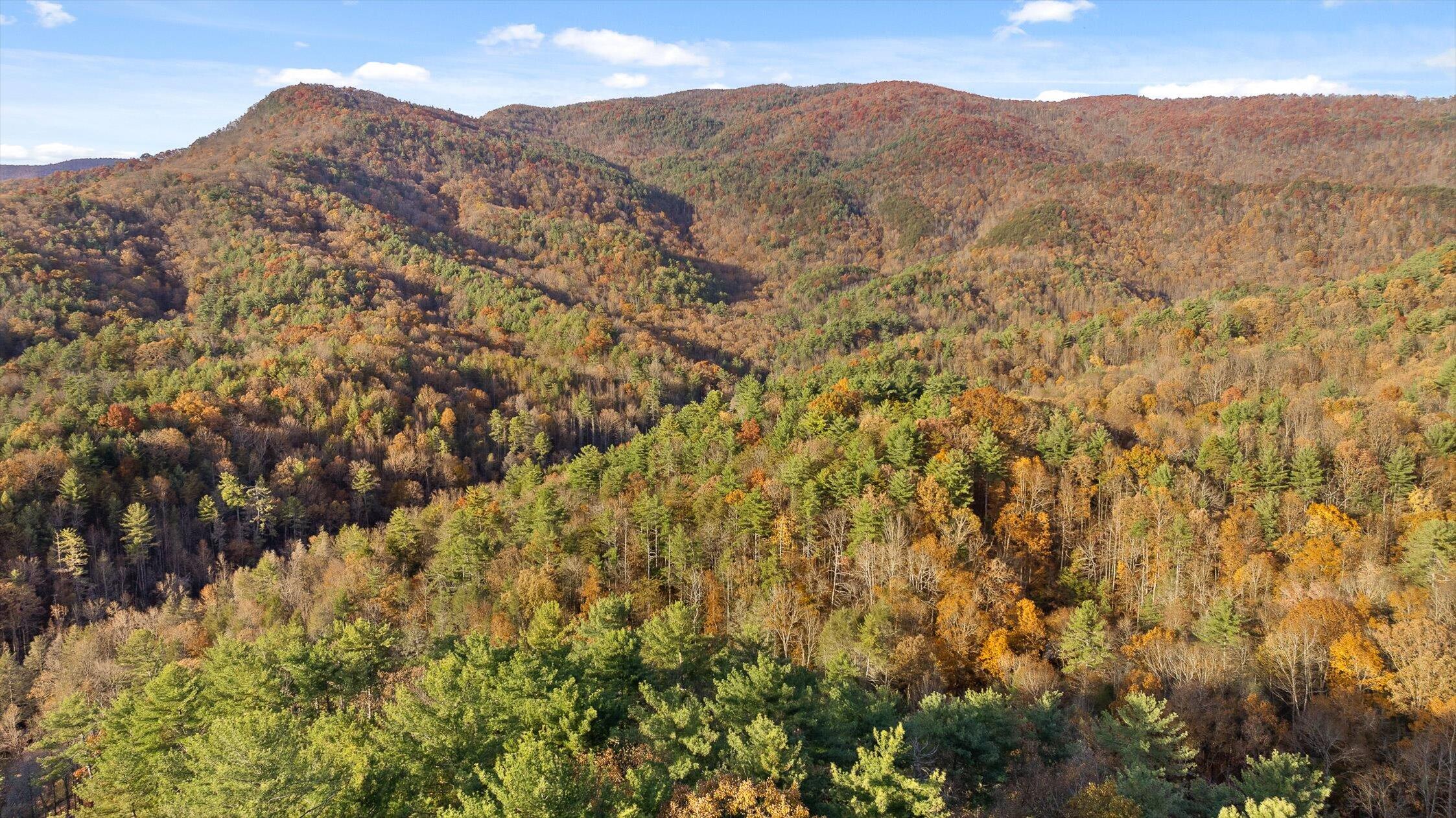 180 Cohutta Forest Road Ellijay, GA 30540 - Photo 48 of 51 48-Cohutta Forest-48