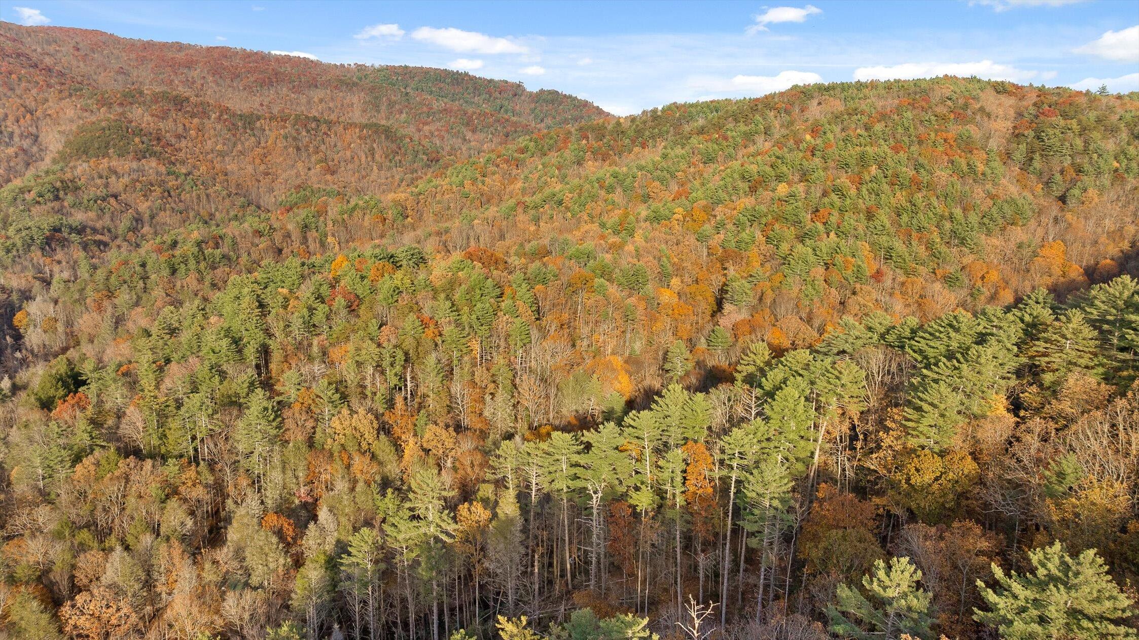 180 Cohutta Forest Road Ellijay, GA 30540 - Photo 49 of 51 49-Cohutta Forest-49