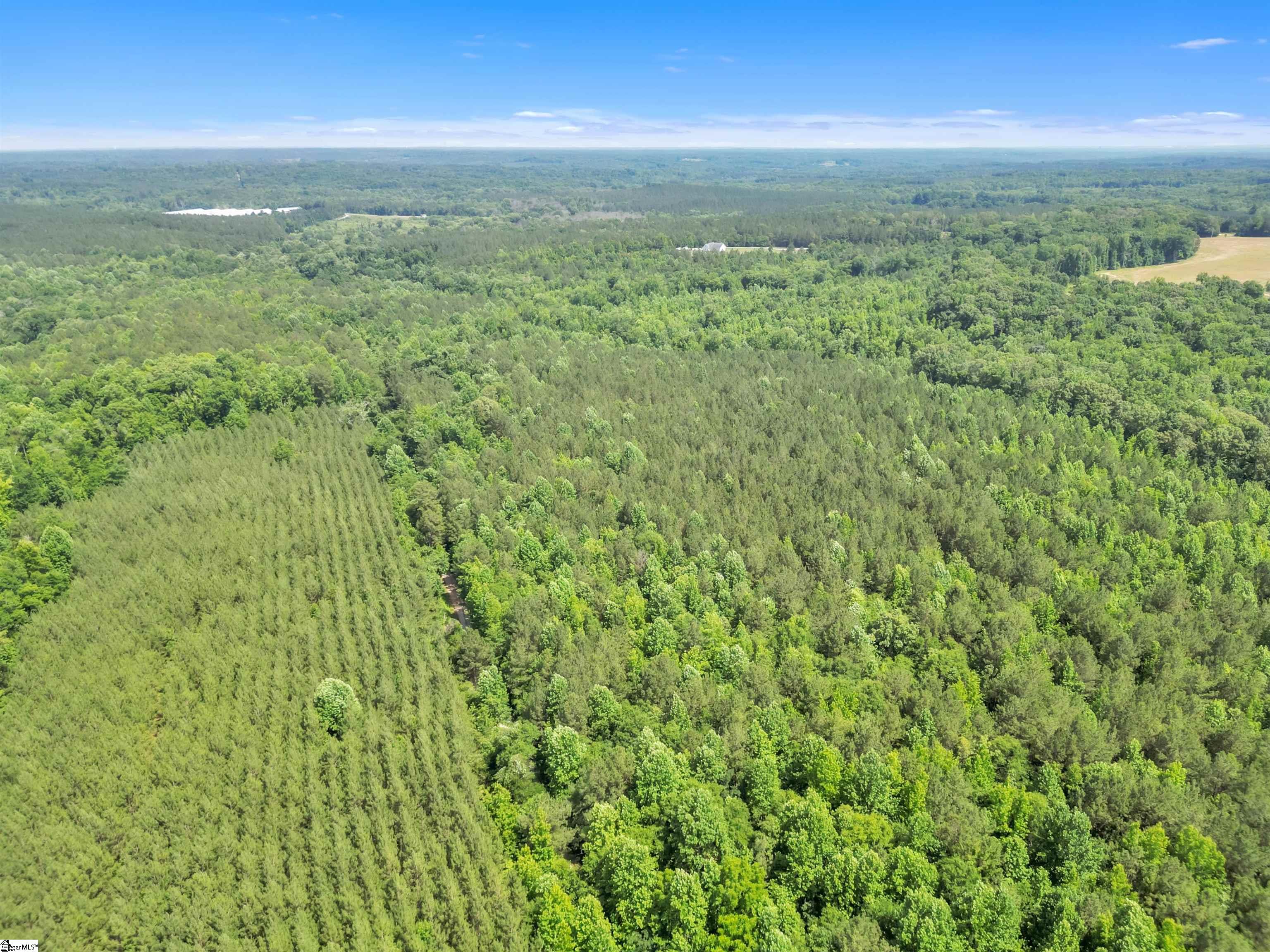 0 Simpson Mill Road Laurens, SC 29360 - Photo 17 of 20