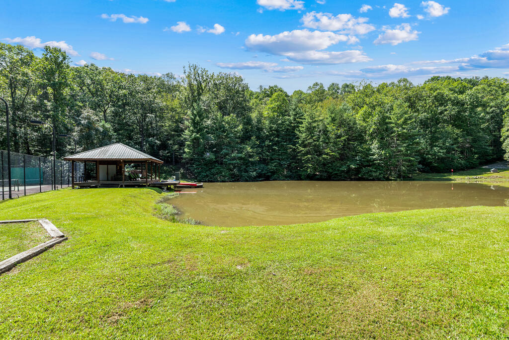 260 Observation Lane Blue Ridge, GA 30513 - Photo 62 of 64 Gallery Image 62