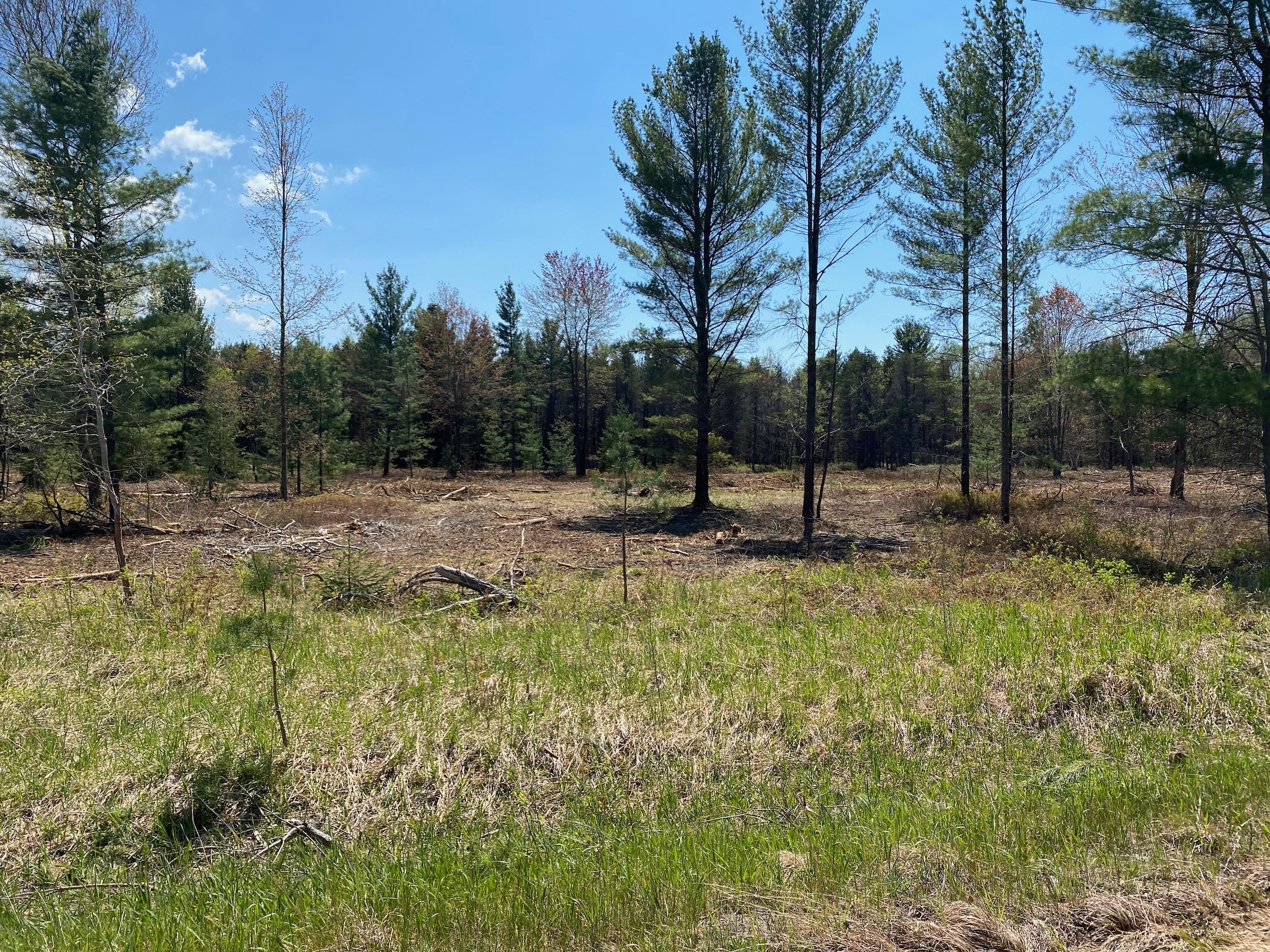 Treml Rd Parcel C-2
