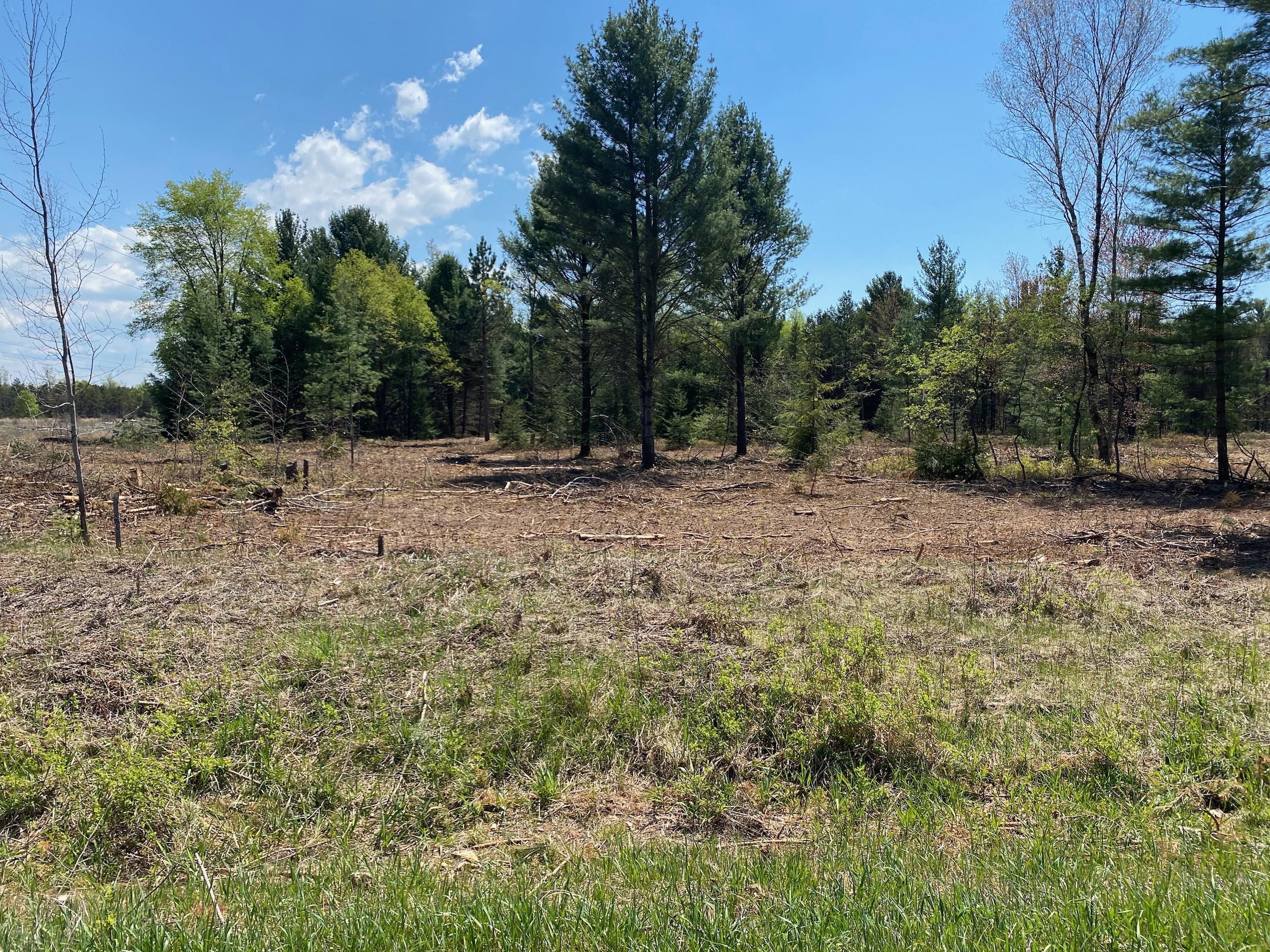 Treml Rd Parcel C-2