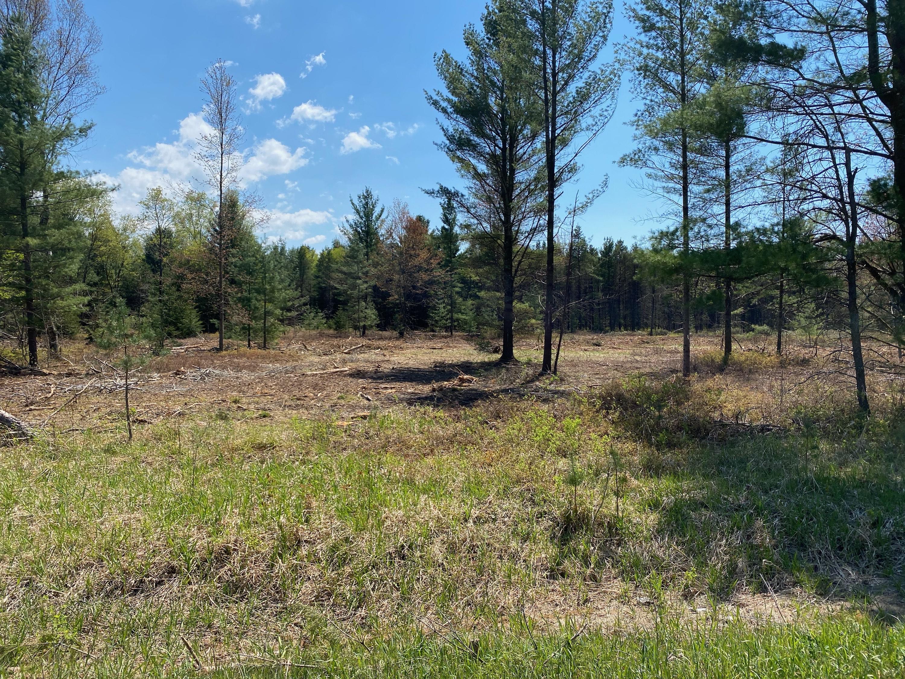 Treml Rd Parcel C-2