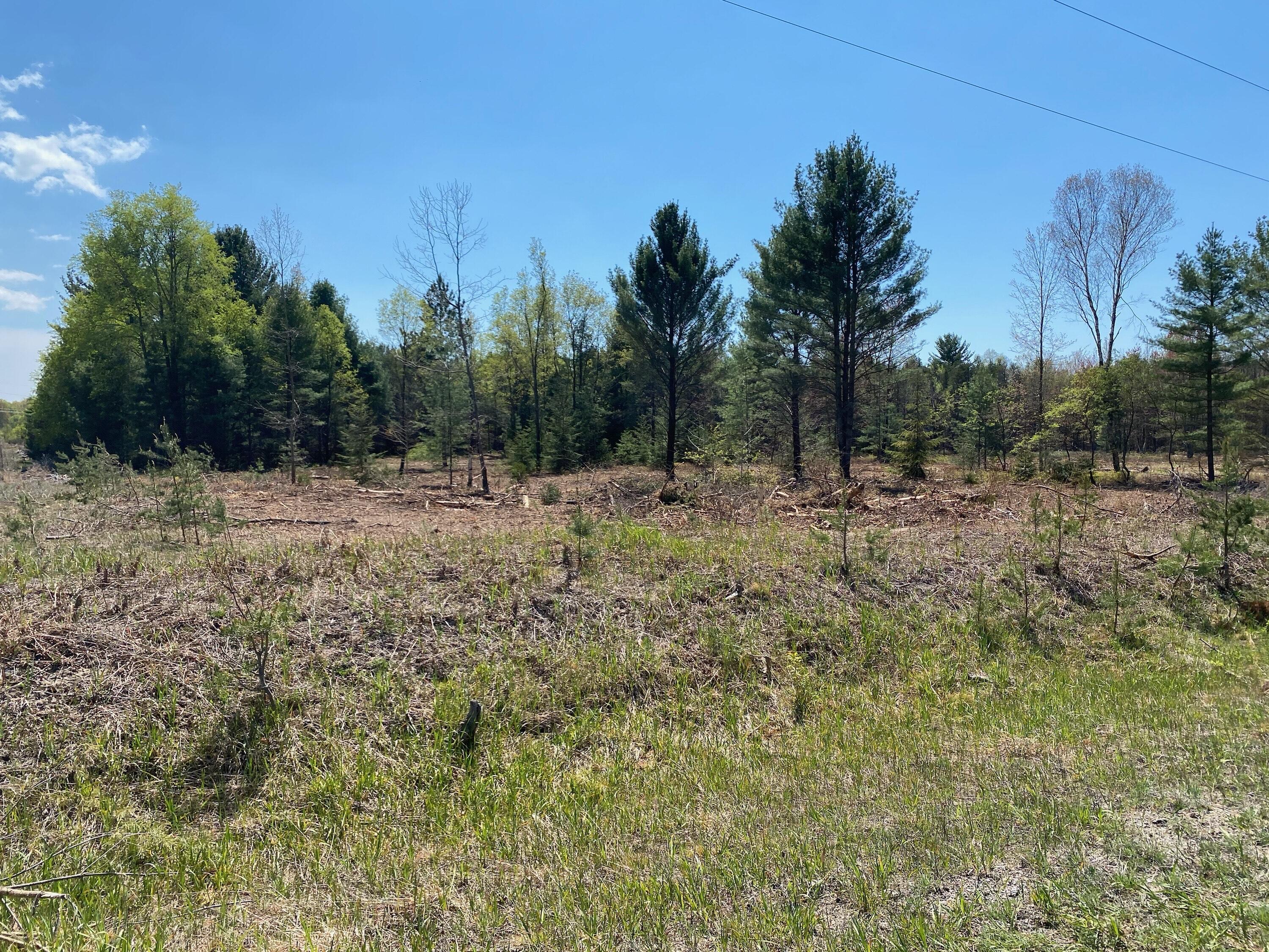 Treml Rd Parcel C-2