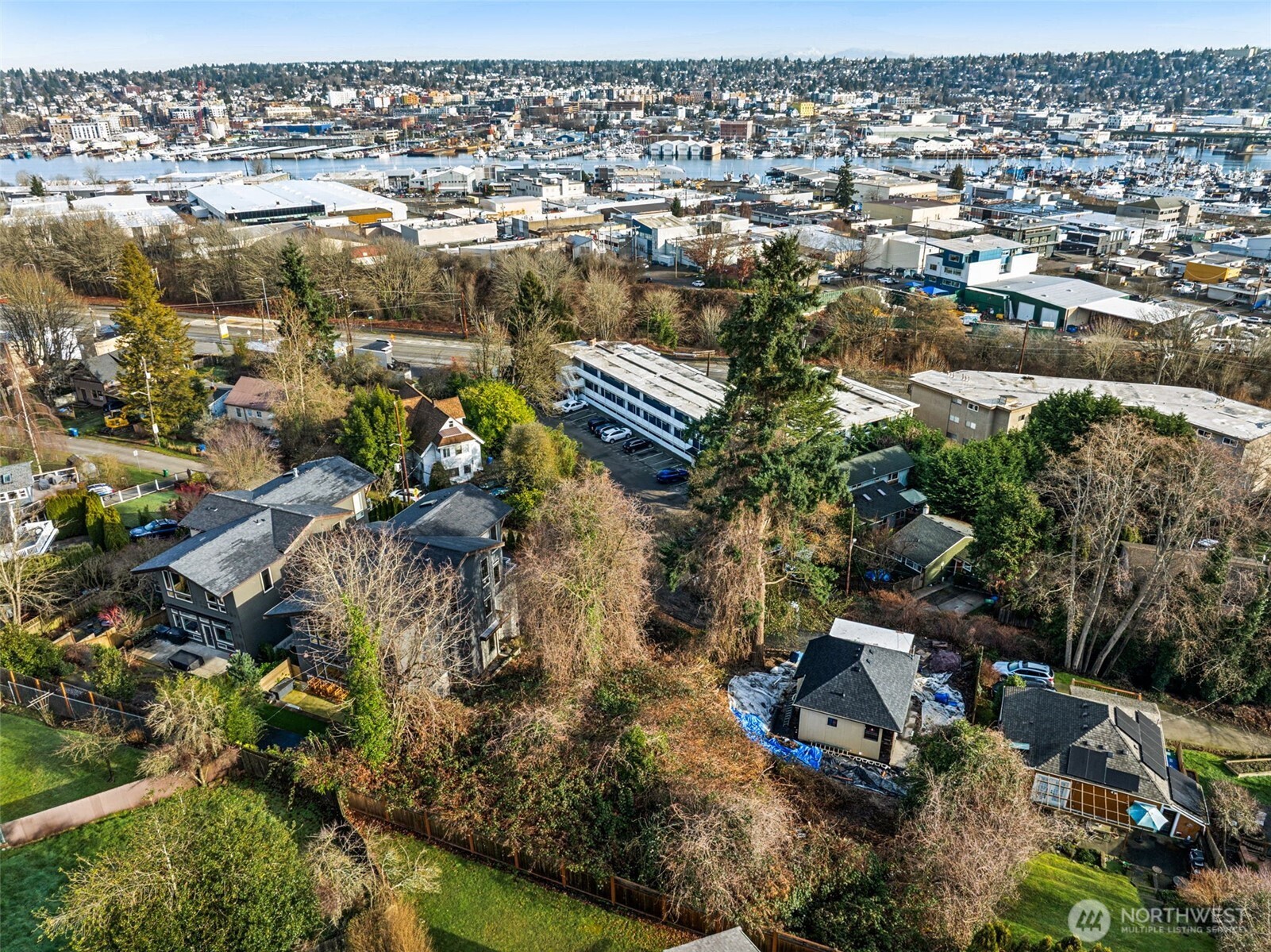 4019 Burton Place West Seattle, WA 98199 - Photo 3 of 18 an aerial view of residential houses with outdoor space