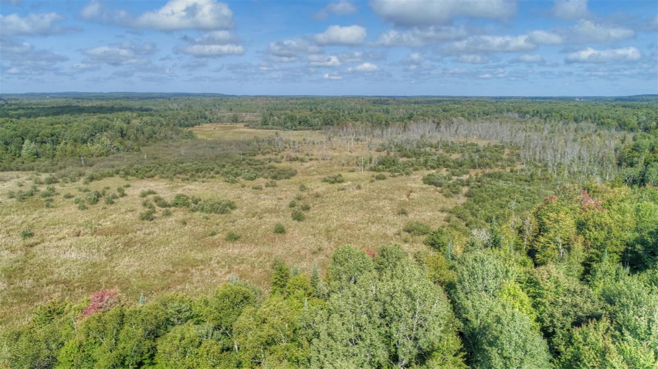 779 North Sharon Road Southeast Fife Lake, MI 49633 - Photo 19 of 27