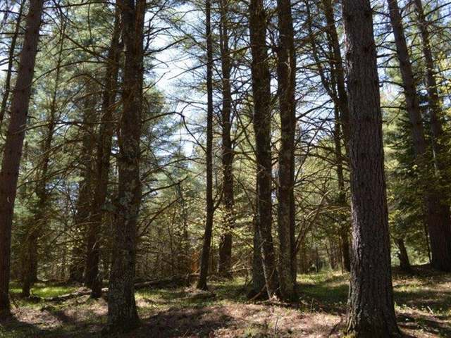 Lot 54 Twin Lake Road Conover, WI 54519 - Photo 15 of 20 Gallery Image 15