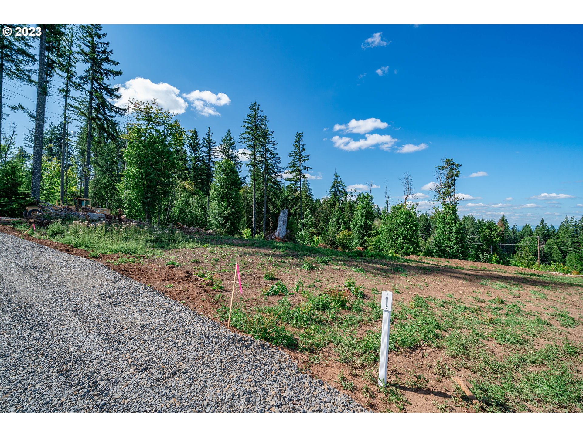 0 South Silver Lake Road, Unit 1 Castle Rock, WA 98611 - Photo 6 of 7