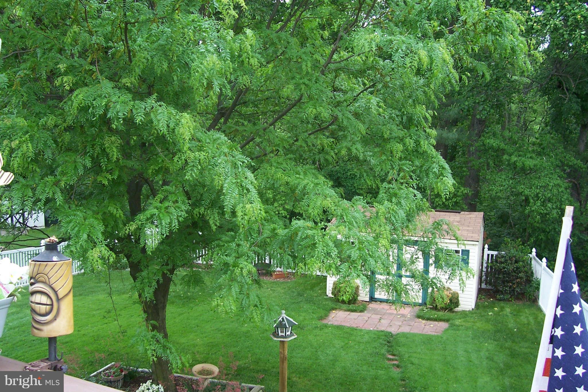 32 Yew Road Baltimore, MD 21221 - Photo 29 of 30 a view of a park with a tree