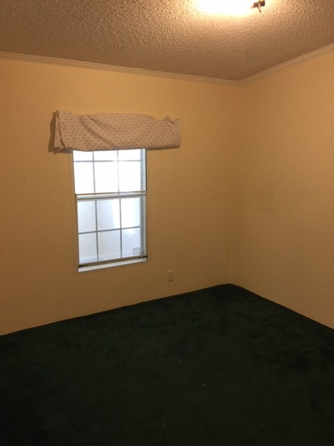 550 Cedar Road Aiken, SC 29803 - Photo 14 of 19