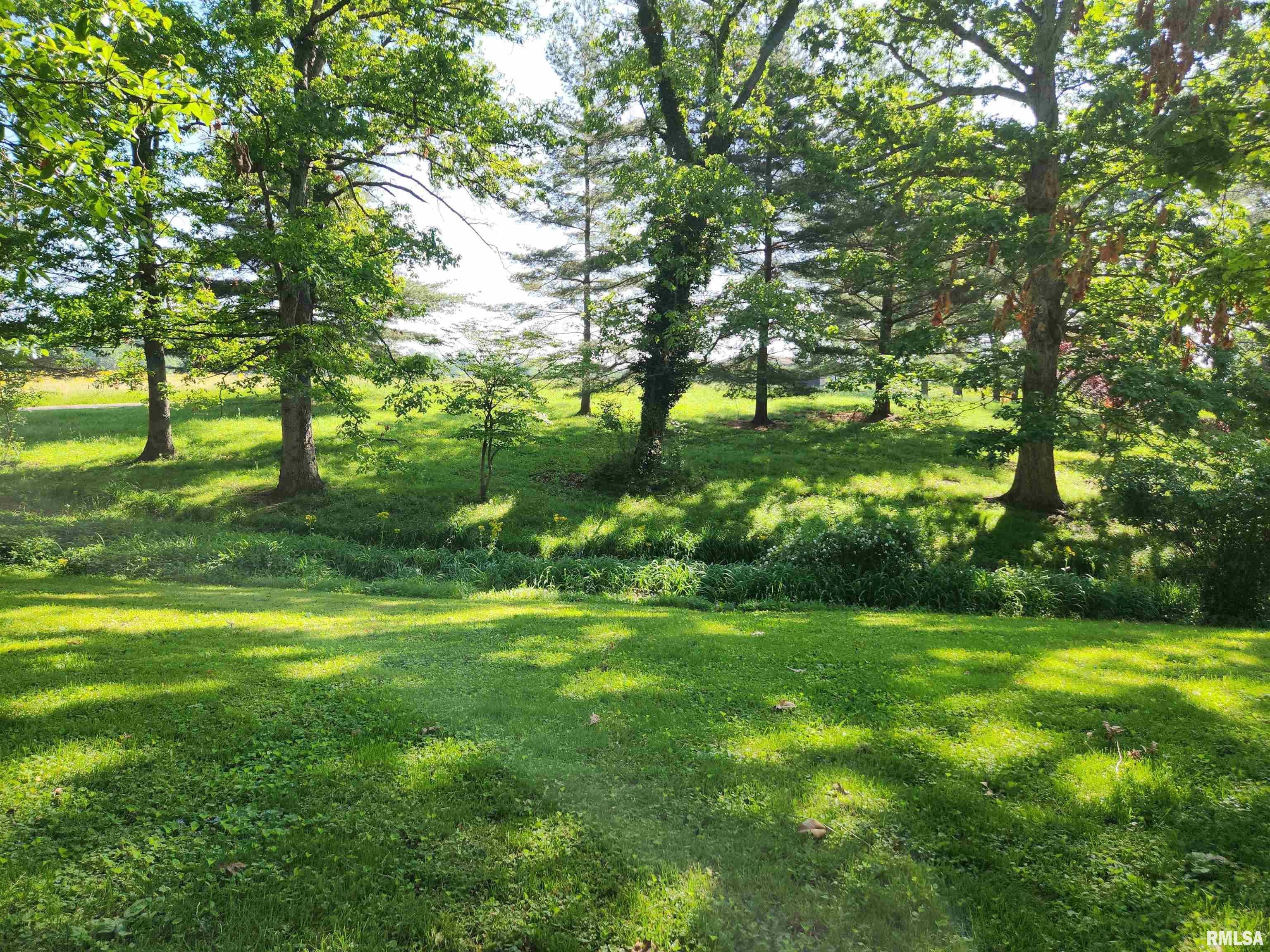 6535 East Yale Road Woodlawn, IL 62898 - Photo 16 of 22 Gallery Image 16