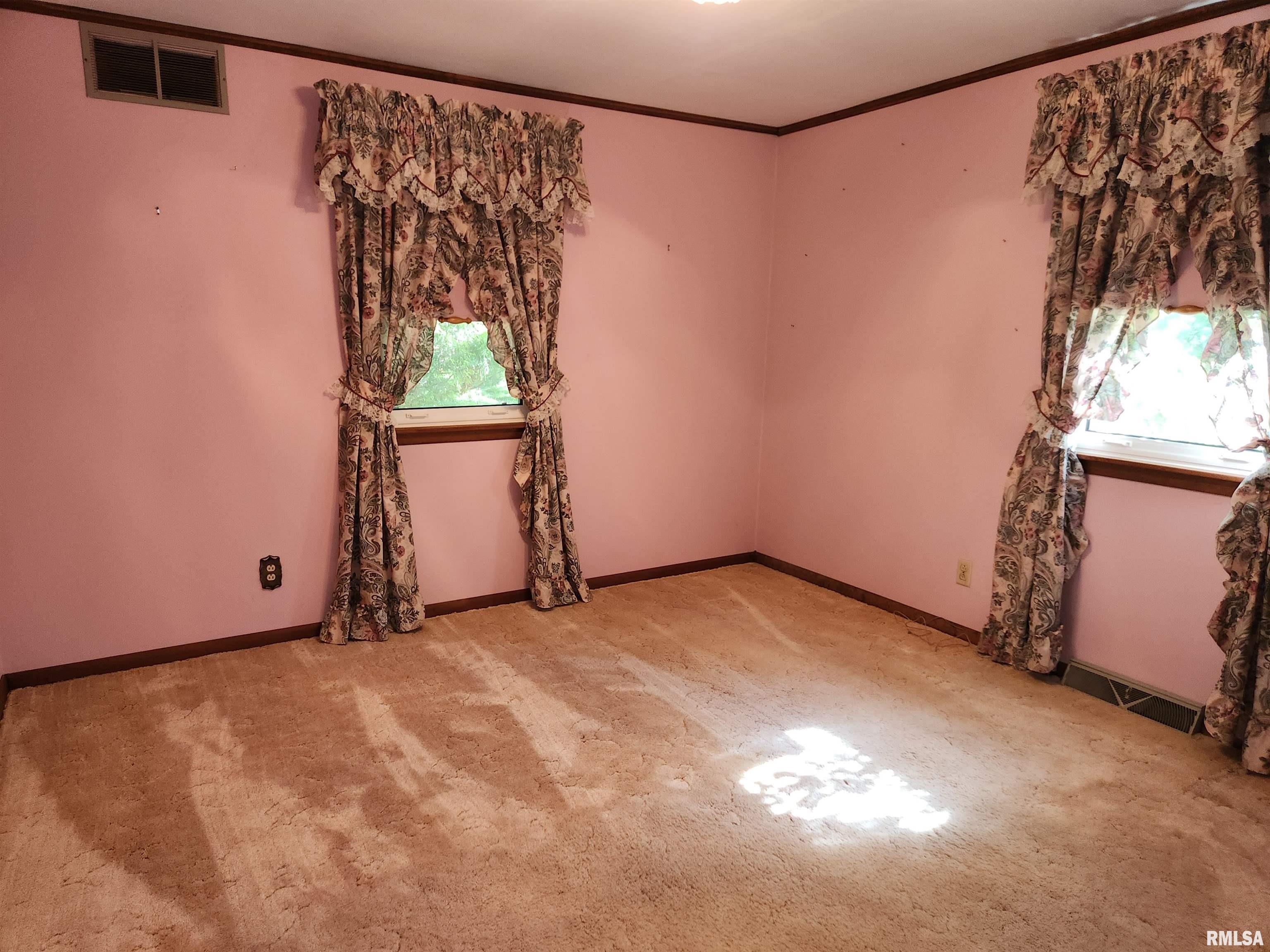 6535 East Yale Road Woodlawn, IL 62898 - Photo 10 of 22 Gallery Image 10