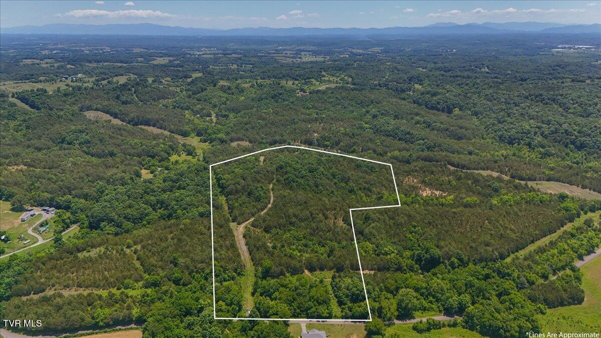 5441 Fred Marshall Road Russellville, TN 37860 - Photo 8 of 20 02-DJI_20260604133732_0925_D