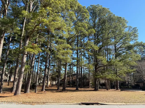 $85,000 | 101 Grandview Circle, Brandon, MS 39047