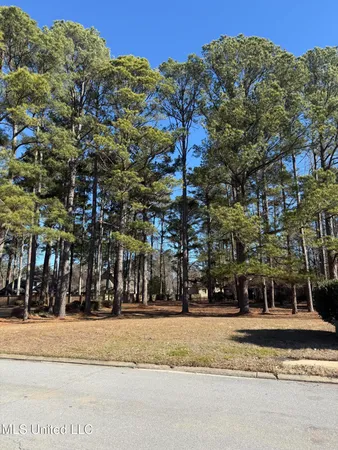 $85,000 | 101 Grandview Circle, Brandon, MS 39047