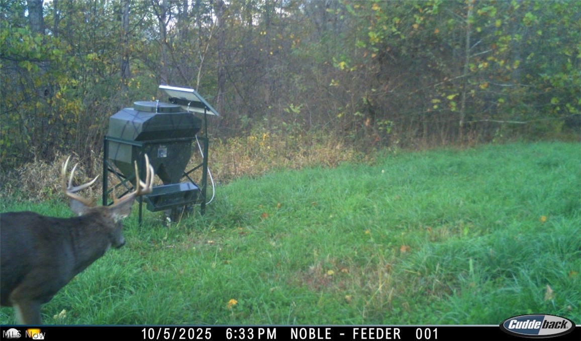 Lew Marten Road Summerfield, OH 43788 - Photo 18 of 50 Gallery Image 18