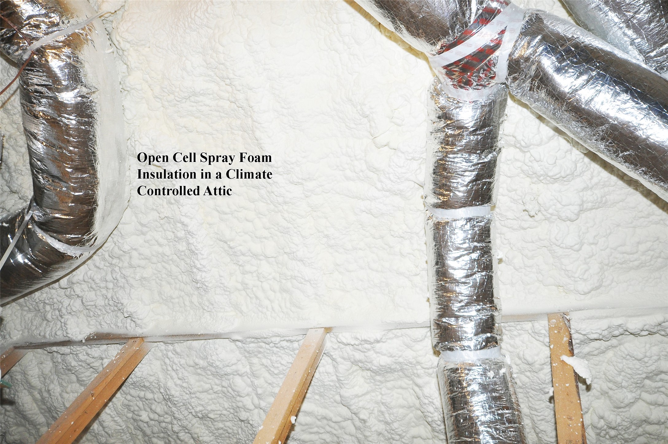 3502 Bahia Road League City, TX 77573 - Photo 24 of 40