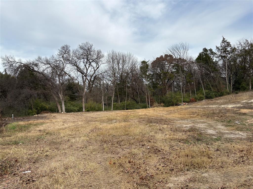 a backyard of a house with trees