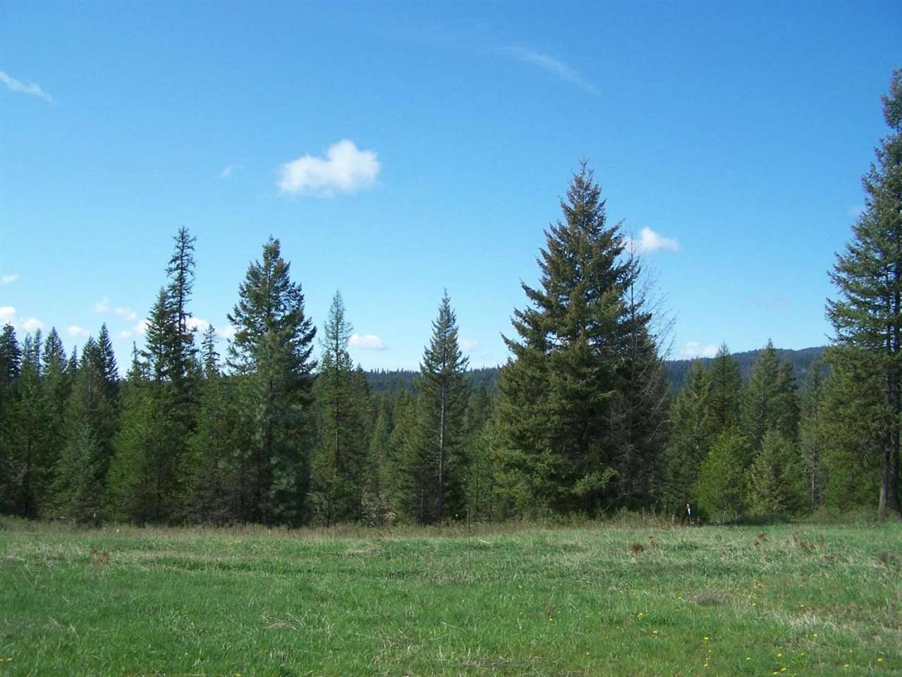 Xx Wagner Road Springdale, WA 99173 - Photo 2 of 13