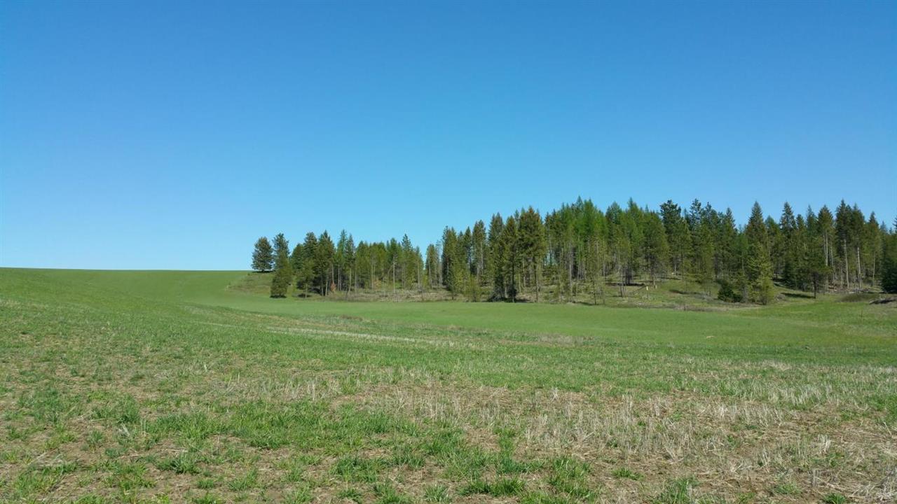 Xx Wagner Road Springdale, WA 99173 - Photo 11 of 13