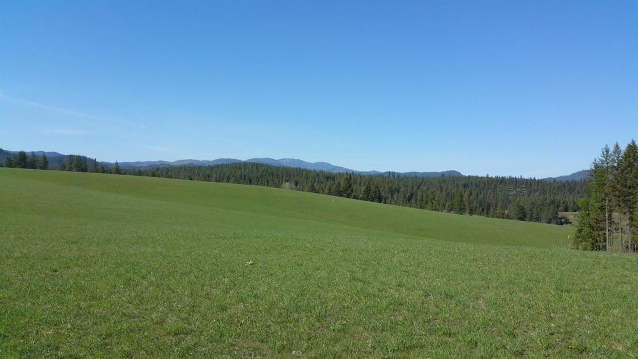 Xx Wagner Road Springdale, WA 99173 - Photo 12 of 13