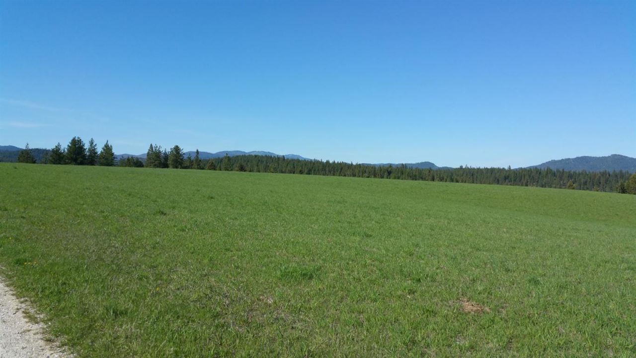 Xx Wagner Road Springdale, WA 99173 - Photo 13 of 13