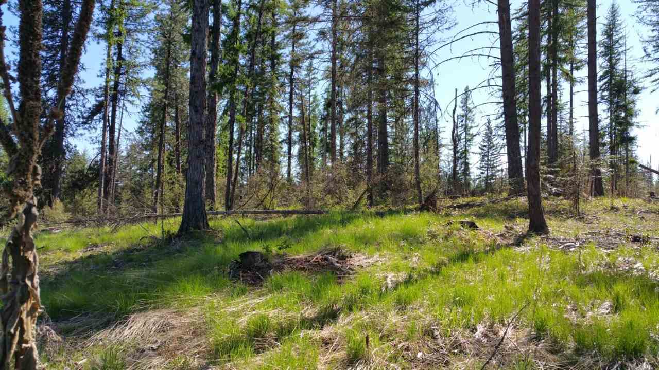 Xx Wagner Road Springdale, WA 99173 - Photo 3 of 13