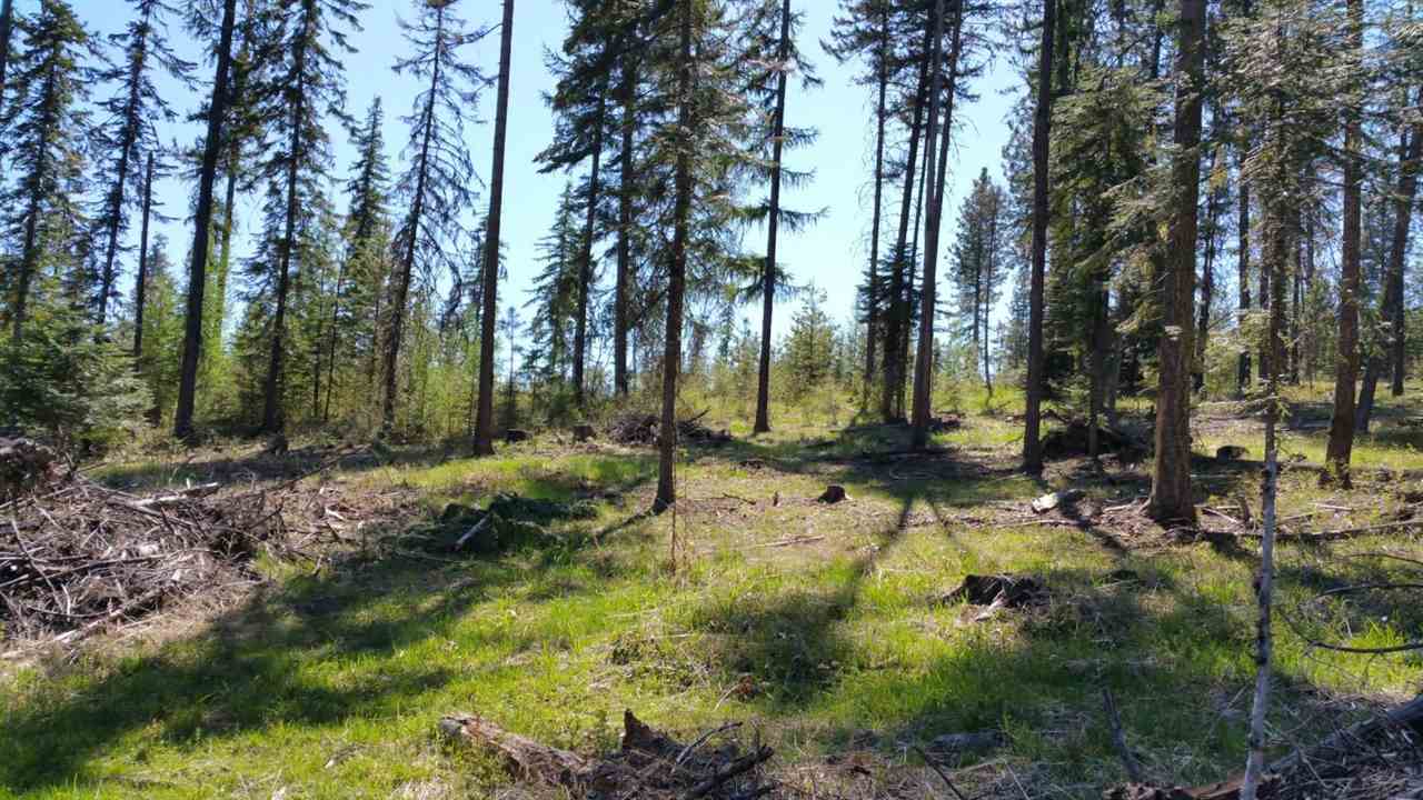 Xx Wagner Road Springdale, WA 99173 - Photo 4 of 13
