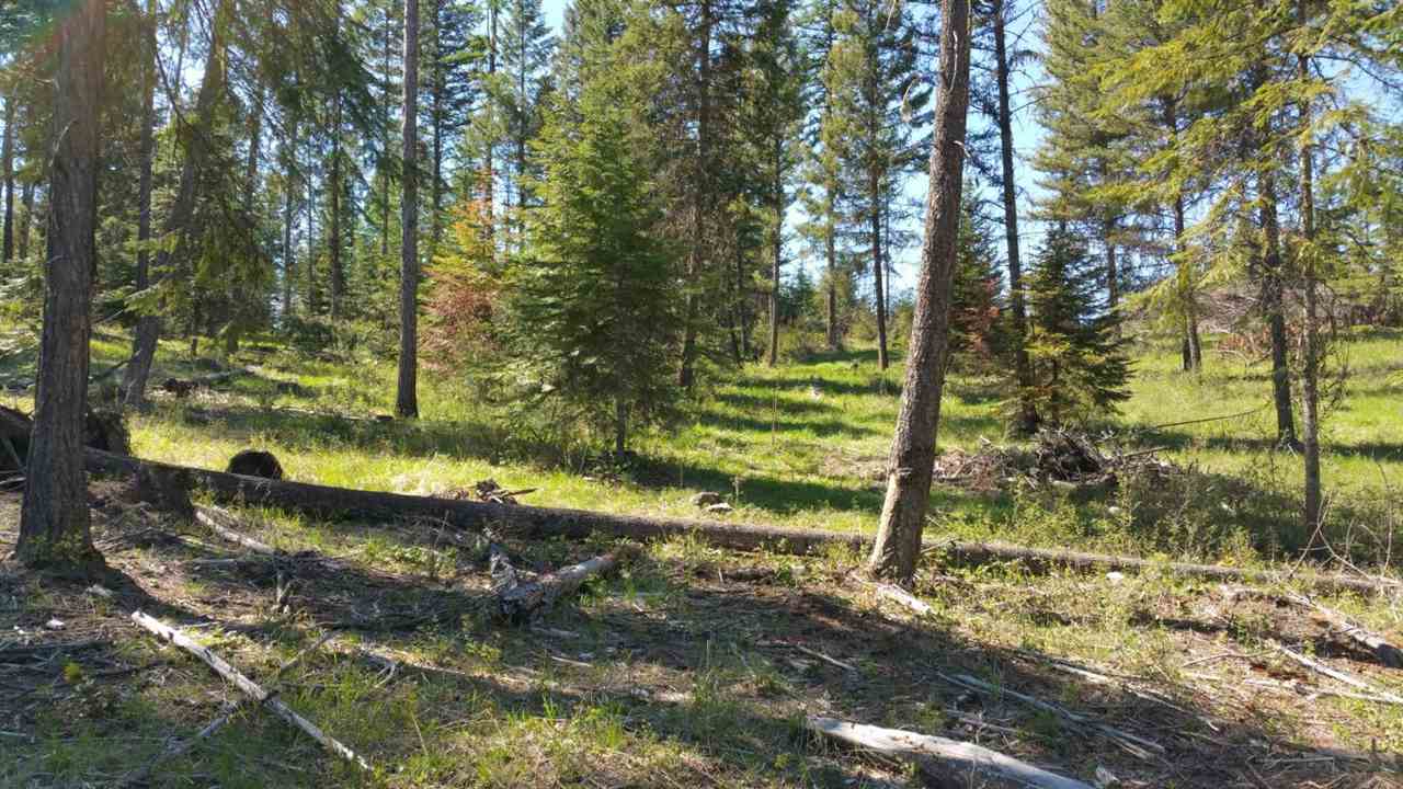Xx Wagner Road Springdale, WA 99173 - Photo 5 of 13