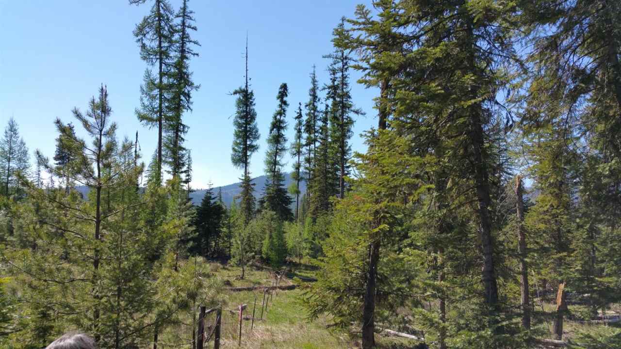 Xx Wagner Road Springdale, WA 99173 - Photo 6 of 13