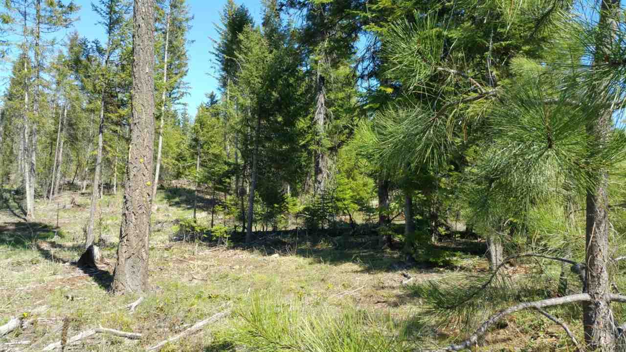 Xx Wagner Road Springdale, WA 99173 - Photo 7 of 13