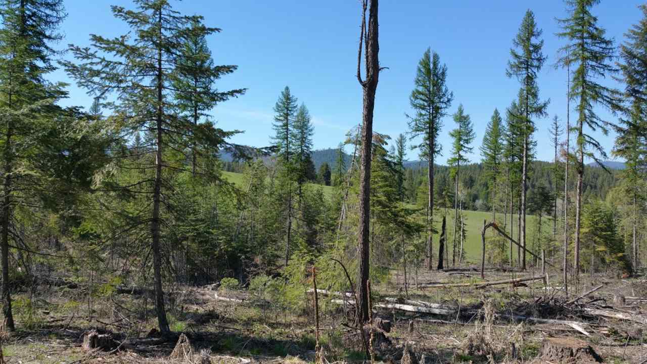 Xx Wagner Road Springdale, WA 99173 - Photo 9 of 13