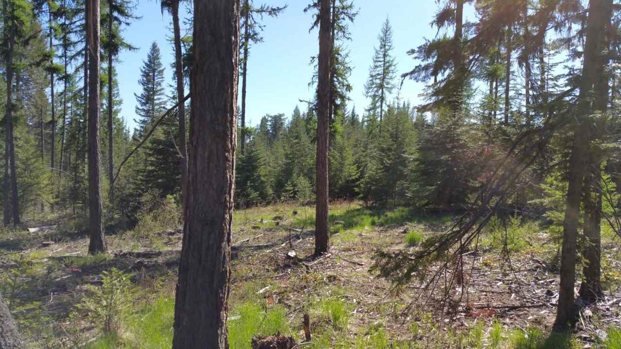 Xx Wagner Road Springdale, WA 99173 - Photo 10 of 13