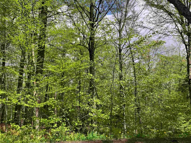 $25,000 | 139 Big Bend Loop, Unit M139, Wilmington, VT 05363