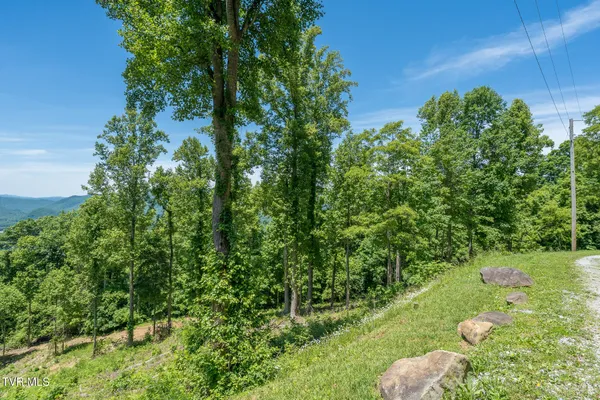 $227,900 | 4 Ridgetop Lane, Unit 4, Unicoi, TN 37692