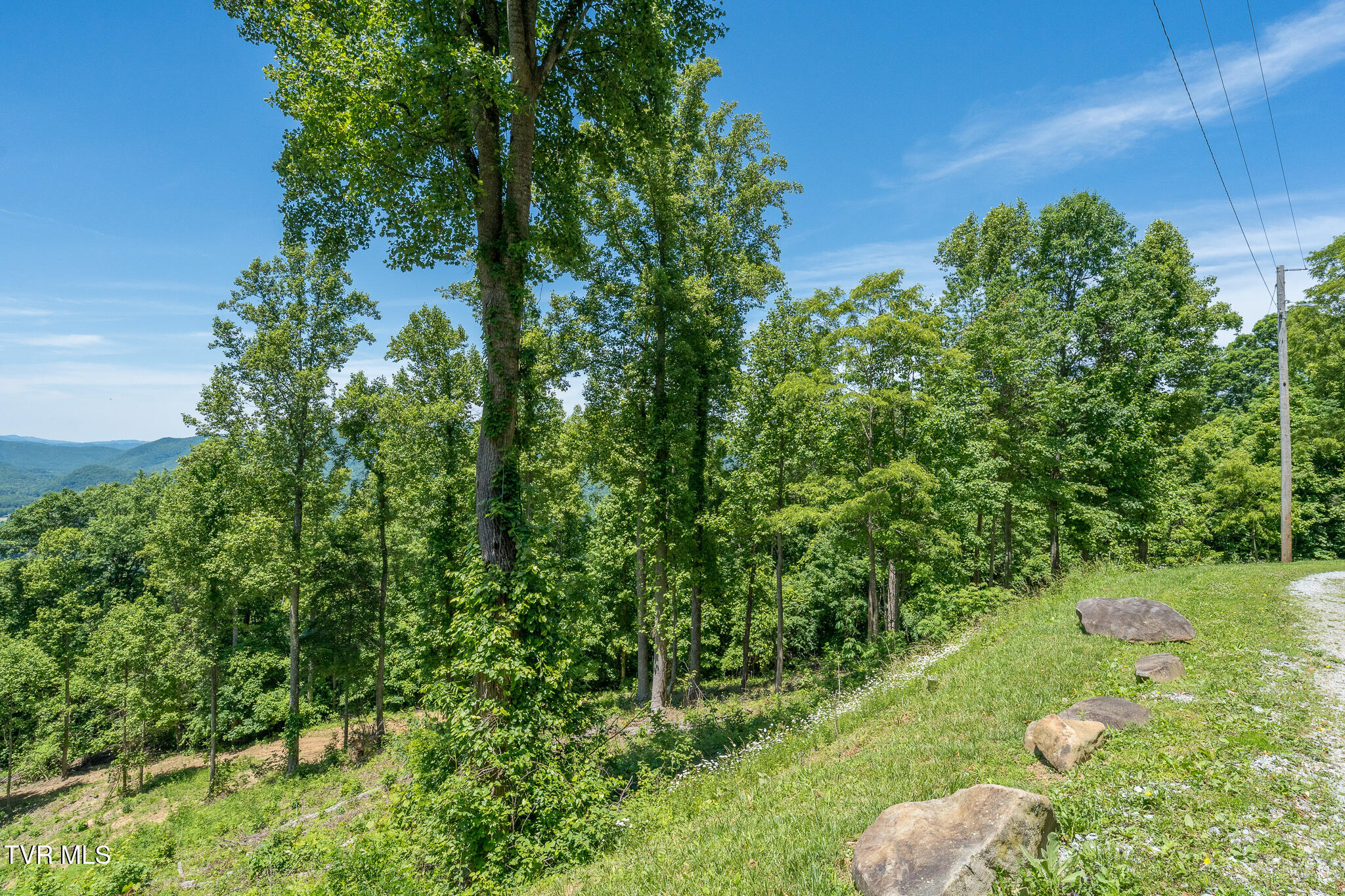 4 Ridgetop Lane, Unit 4 Unicoi, TN 37692 - Photo 1 of 15 Lot 4 Ridgetop Ln (33 of 34)