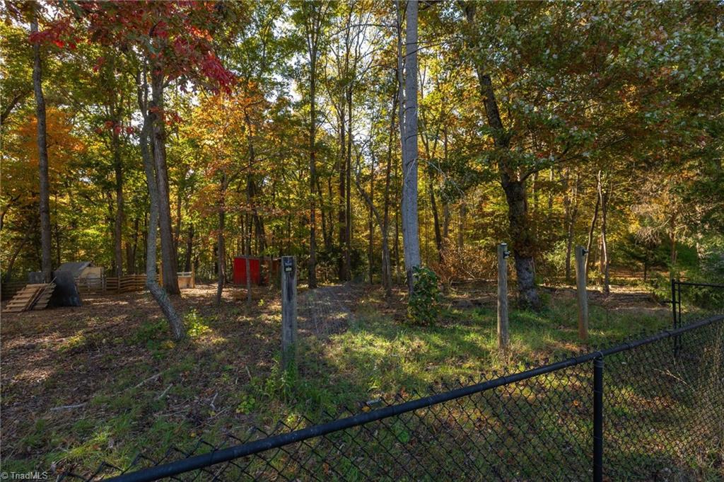 4695 Kennedy Road Trinity, NC 27370 - Photo 29 of 29