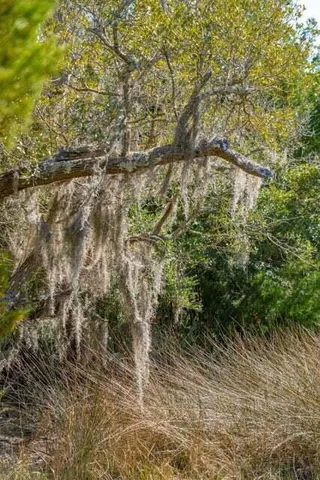 $1,750,000 | 328 Maggie Road, Mount Pleasant, SC 29464