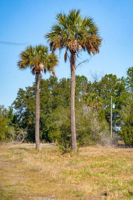 328 Maggie Road Mount Pleasant, SC 29464 - Photo 13 of 29 328 Maggie Rd_7