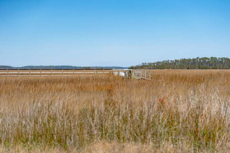 328 Maggie Road Mount Pleasant, SC 29464 - Photo 9 of 29 328 Maggie Rd_23