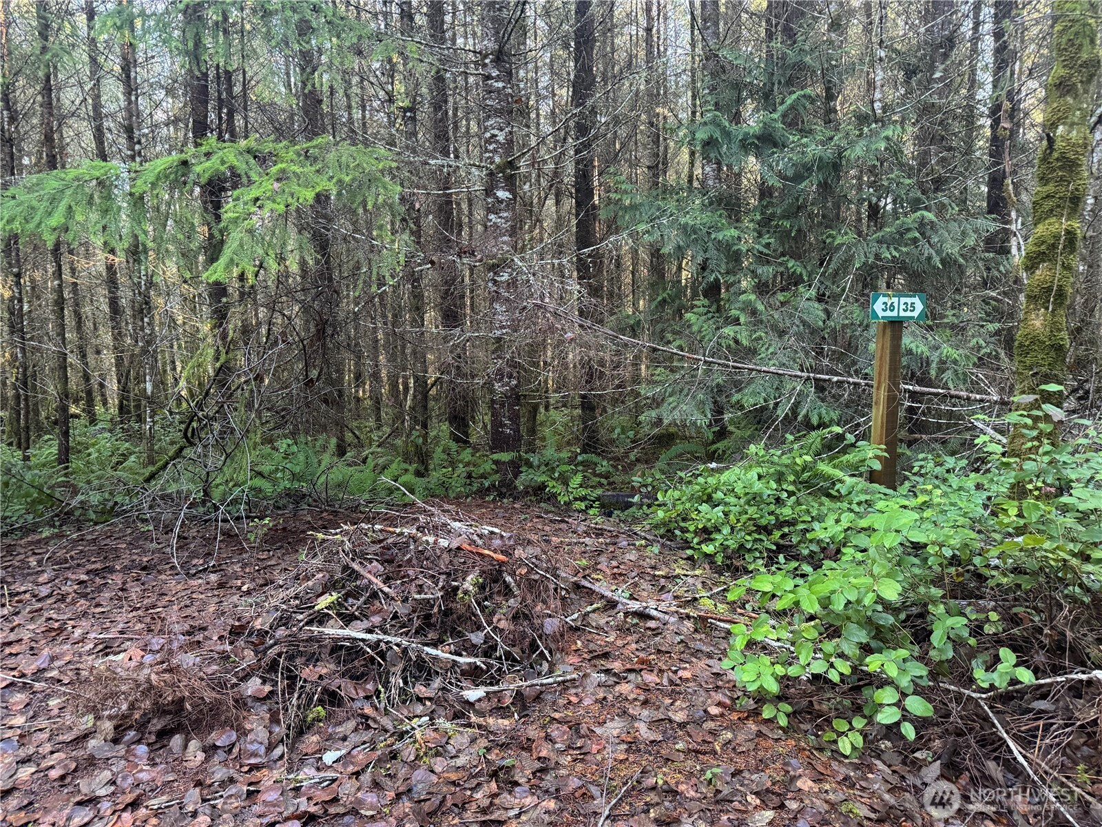 233 Shy Bear Road Toutle, WA 98649 - Photo 4 of 5