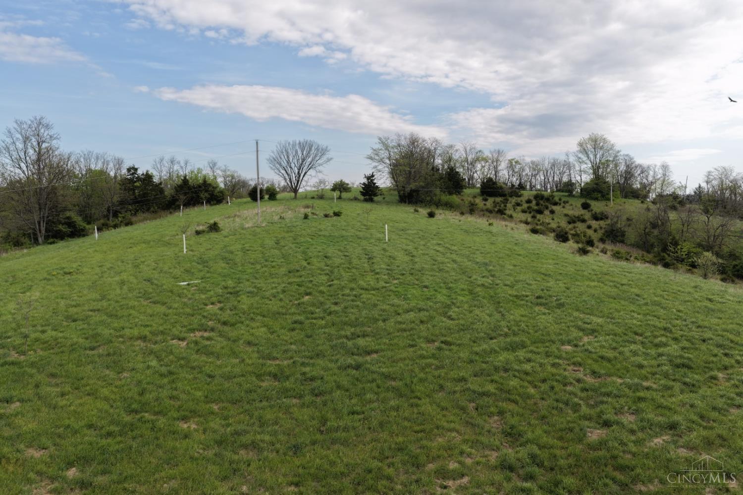 9951 Fishing Gut Road Aberdeen, OH 45101 - Photo 36 of 50