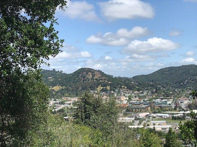 0 Bret Harte Road San Rafael, CA 94901 - Photo 1 of 1 Gallery Image 1