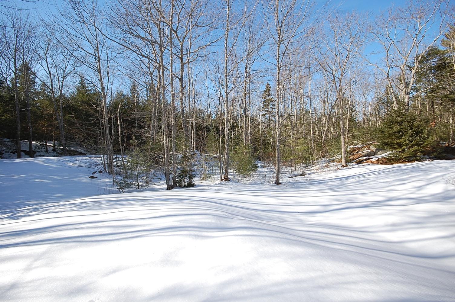 892 Pool Street Biddeford, ME 04005 - Photo 30 of 42 Biddeford Pool_Real Estate_Tru Brit Real