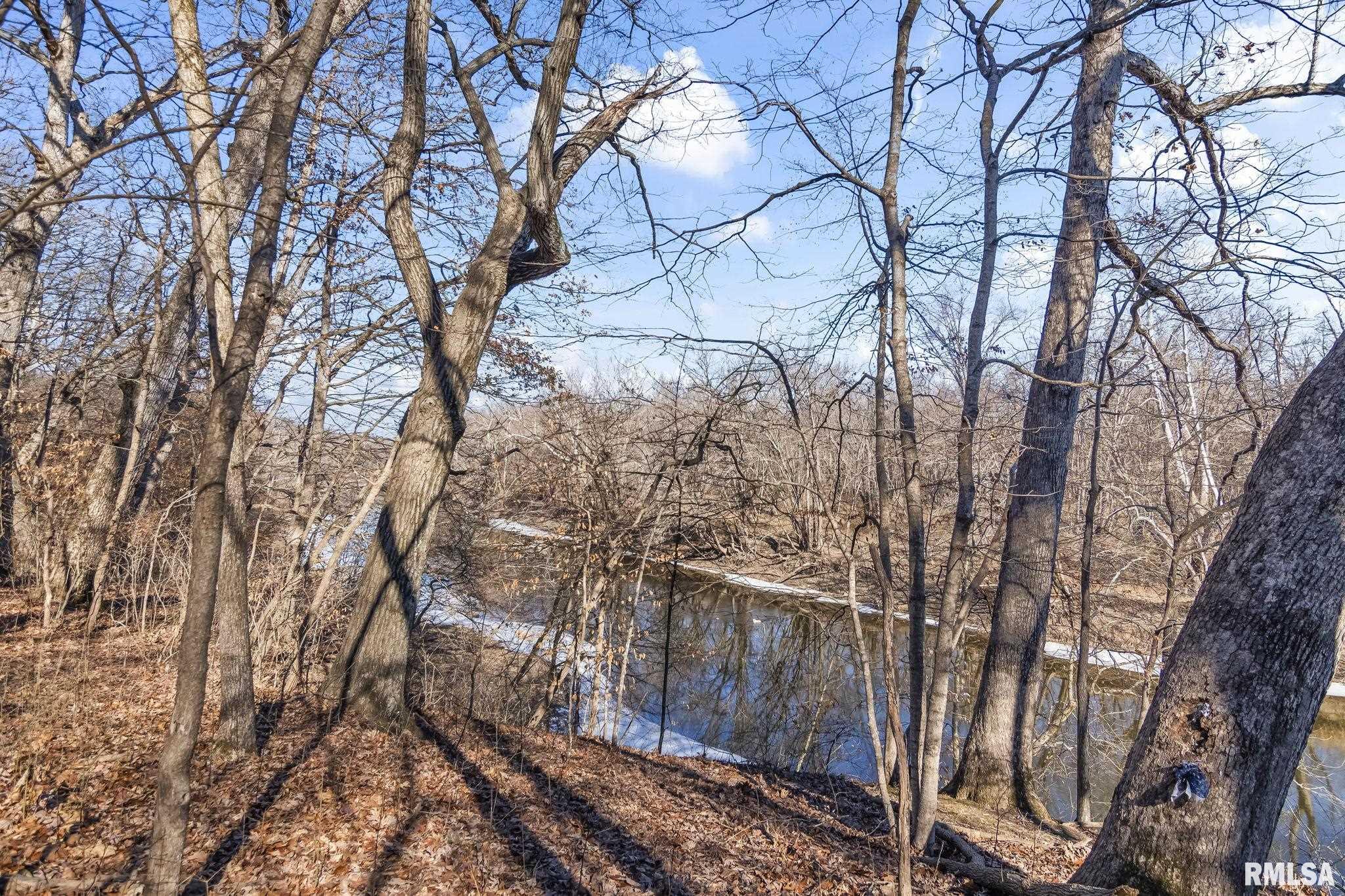 3406 Hazlett Road Springfield, IL 62707 - Photo 43 of 49 Gallery Image 43