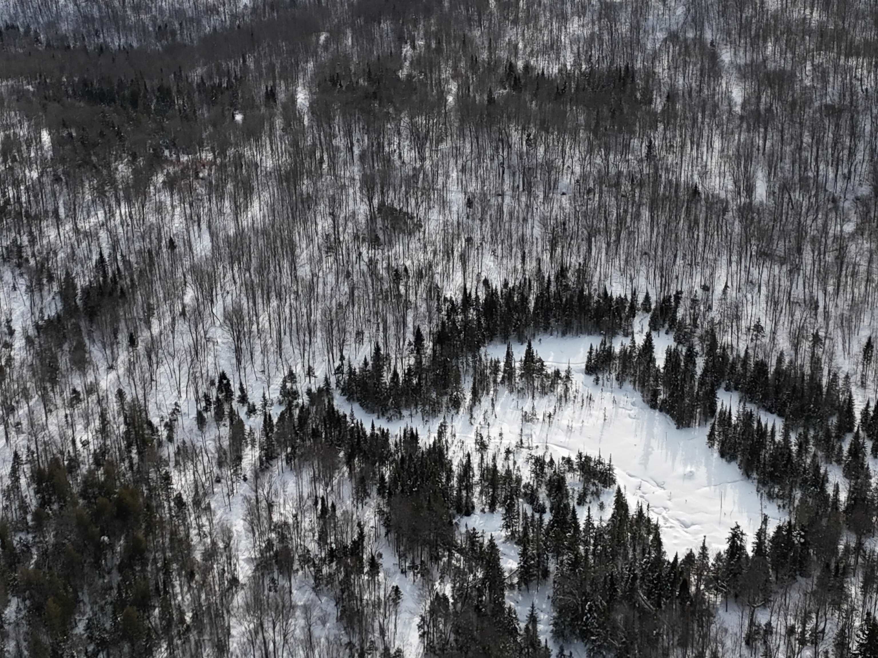 Stannard Mountain Road Lyndonville, VT 05851 - Photo 20 of 35