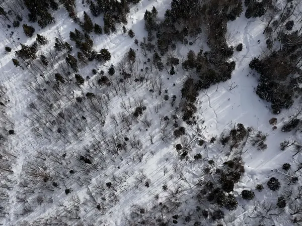 $538,950 | Stannard Mountain Road, Lyndonville, VT 05851